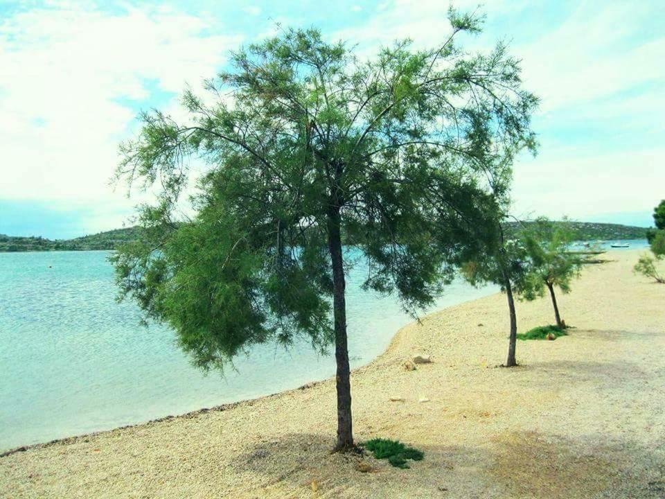 Apartments The Heart Of Croatia 피로바츠 외부 사진